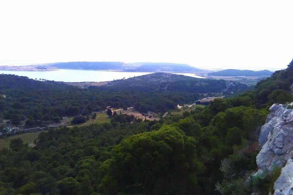 Location Gruissan, Studio, piscine, parking privé Esterno foto