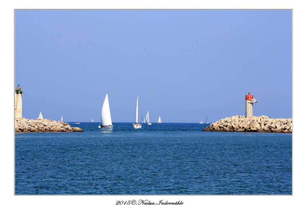 Location Gruissan, Studio, piscine, parking privé Esterno foto