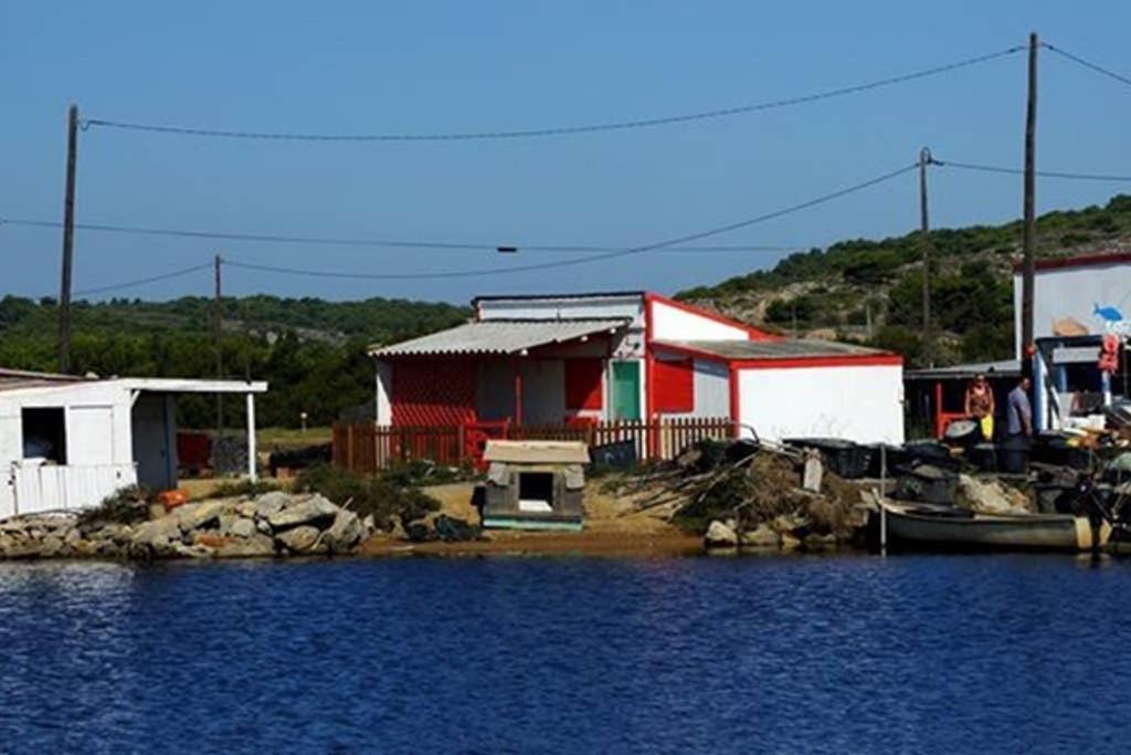 Location Gruissan, Studio, piscine, parking privé Esterno foto